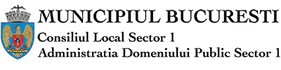 eDevize - Administratia Domeniului Public Sector 1