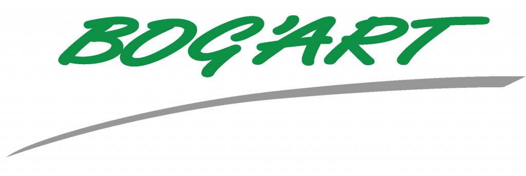 eDevize - Bog'art Logo