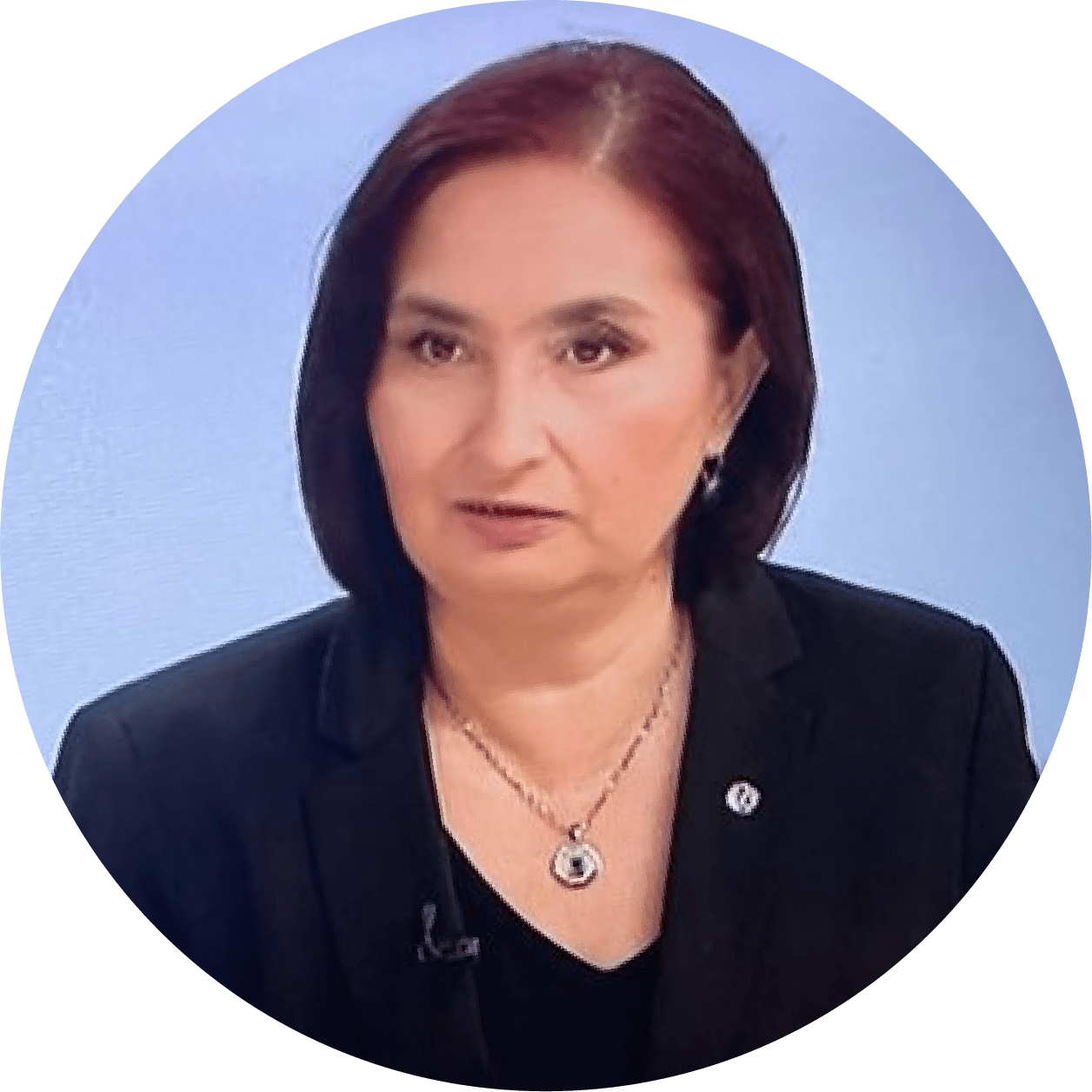 eDevize - Anca Ginavar