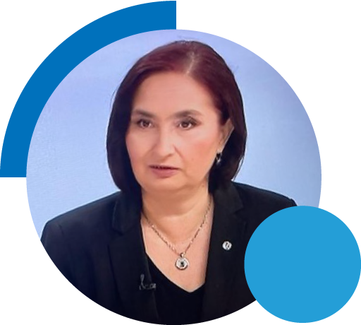 eDevize - Ginavar Anca