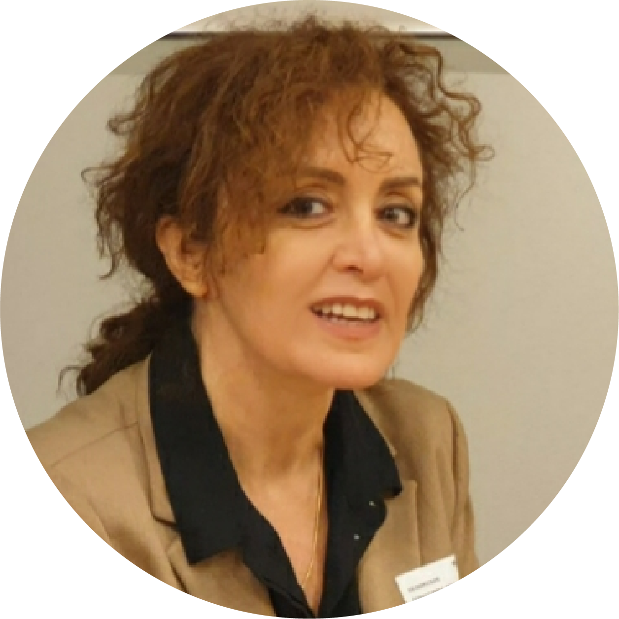 eDevize - Irina Forgo